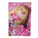 28x40 in Cat with Candy Heart Banner - Flagladyusa