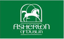 3x5 ft Bright Green Asherton Flag - Flagladyusa