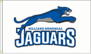 3x5 ft Hilliard Memorial Jaguars Flag - Flagladyusa