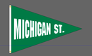 40x60 in Michigan State Big 10 Pennant - Flagladyusa