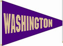40x60 in Washington Big 10 Pennant - Flagladyusa