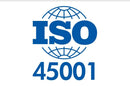 4x6 ft ISO 45001 Flag - Flagladyusa