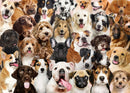 All the Dogs 1000 Piece Jigsaw Puzzle - Flagladyusa