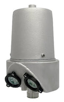 American Beacon Flagpole Lighting - Flagladyusa