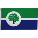 Ann Arbor Michigan Flags - Flagladyusa