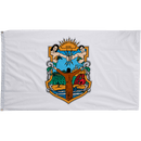 Baja California Flags - Flagladyusa