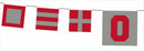 Buckeye Cruise Scarlet an Gray Pool Flags 2024 - Flagladyusa