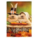 Bunny Pilgrims Suede Garden Flag - Flagladyusa