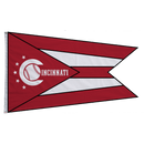 Cincinnati Reds Ohio Flag - Flagladyusa