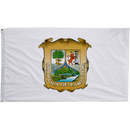 Coahuila Flags - Flagladyusa