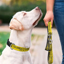 Columbus Crew Pet Collar - Flagladyusa