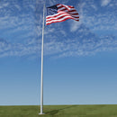 Deluxe IH Flagpoles - Flagladyusa