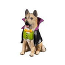 Dog in Halloween Costume Resin Table Decor - Flagladyusa