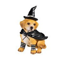Dog in Halloween Costume Resin Table Decor - Flagladyusa