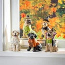 Dog in Halloween Costume Resin Table Decor - Flagladyusa