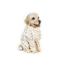 Dog in Halloween Costume Resin Table Decor - Flagladyusa