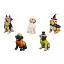 Dog in Halloween Costume Resin Table Decor - Flagladyusa