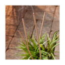Fig+Honey+Citronella Incense Sticks S/30 - Flagladyusa