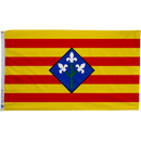 Flag of Lleida - Flagladyusa