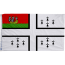 Flag of Nantes - Flagladyusa