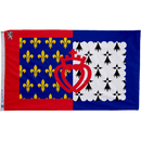 Flag of the Region Pays - de - la - Loire - Flagladyusa