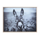 Framed Canvas Wall Decor with Donkey - Flagladyusa