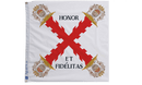 Galvez Flag - Flagladyusa