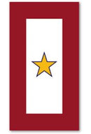 Gold Star Service Banner Magnet - Flagladyusa