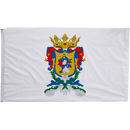 Guanajuato Flags - Flagladyusa