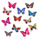 Magnetic Glitter Butterfly - Flagladyusa