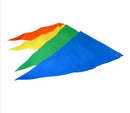 Multi - Color Poly Pennant String - Flagladyusa