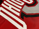 Ohio State Buckeyes Athletic Logo Flags - Flagladyusa