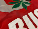 Ohio State Leaf & Nut "Go Bucks" Flags - Flagladyusa