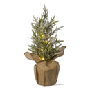 Pine Tree with Burlap Pot - LED - Flagladyusa