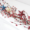 Red/White/Blue Star Garland - Flagladyusa