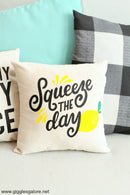 Squeeze The Day Pillow - Flagladyusa