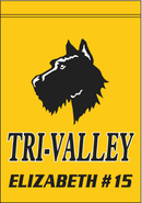 Tri - Valley Scotties Banner - Flagladyusa