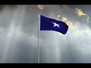 Bonnie Blue Flags