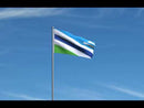 Dayton Ohio Flags