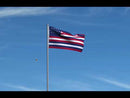 Serapis Flag (John Paul Jones Flag)